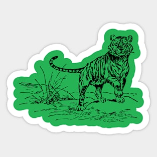 Tiger Black & White T-shirt Sticker